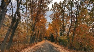 أجواء صافية نهاراً وباردة ليلاً... اليكم طقس الأسبوع!