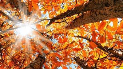  طقس خريفي مستقر حتى منتصف الأسبوع... وأمطار مرتقبة