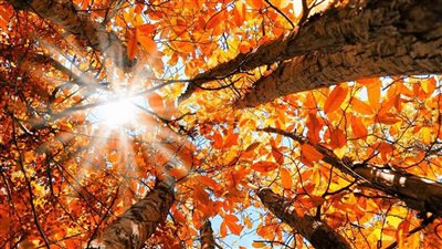 طقسٌ خريفي بارد... واحذروا البحر!