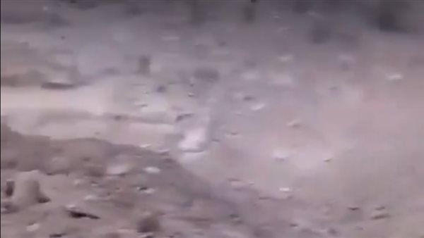 صيدا اون لاين