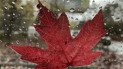 هكذا سيكون طقس الـWeekend... اليكم التفاصيل 