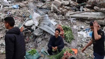 400 يوم من الإبادة: الغزيون يبتدعون مهناً جديدة