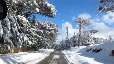 متى ينحسر الصّقيع؟