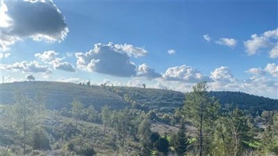 قبل موعد المنخفضات... طقس مستقر لغاية الخميس