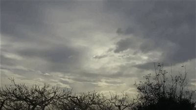 طقس غير مستقر غائم حتى المساء... اليكم التفاصيل 