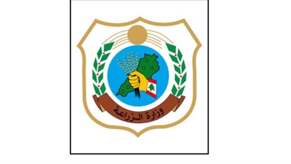 صيدا اون لاين
