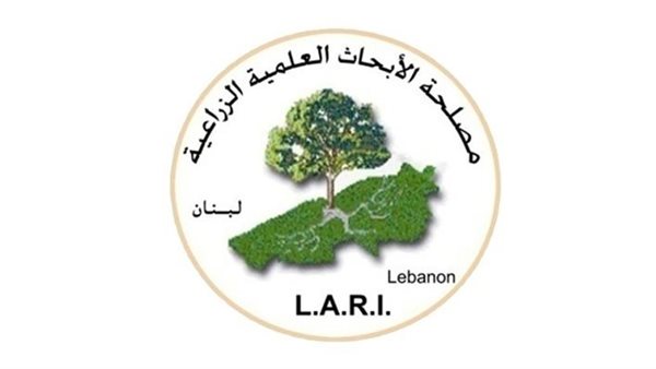 صيدا اون لاين
