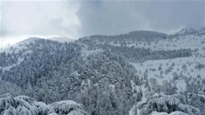  طقس بارد جدًا ومثلج... إليكم التفاصيل