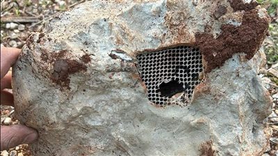 بالصور وفي الجنوب: أجهزة تجسس إسرائيلية!