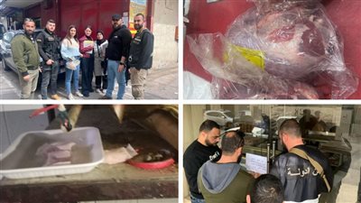 بالفيديو والصور: ختم محل لبيع الحلويات بالشمع الأحمر في صيدا بسبب وجود فئران وتسطير محضرا ضبط بحق ملحمتين