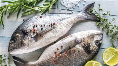  دراسة تكشف... تناول الأسماك يؤثر بشكل إيجابي على سلوك الأطفال