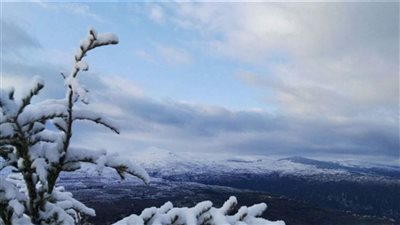  منخفض جويّ في طريقه الينا: أمطار ورياح وثلوج وصقيع