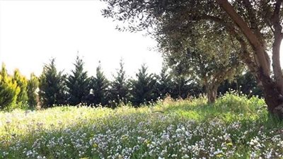 مرتفع جوي يؤثر على لبنان... والحرارة تتخطى عتبة الـ٣٠ درجة يوم الجمعة!