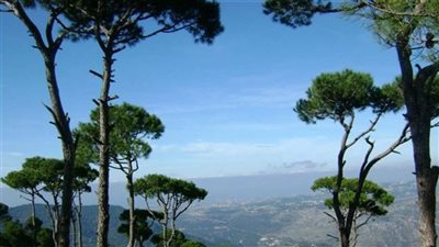  الاستقرار الجوي يعود تدريجياً الثلاثاء... إليكم التفاصيل