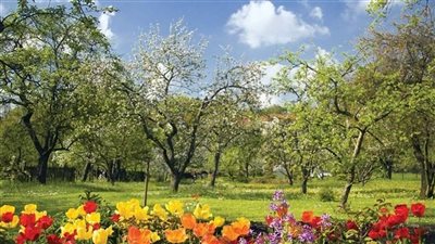 الاستقرار الجوي يستمر طيلة الأسبوع... وارتفاع بدرجات الحرارة