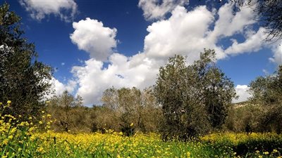  درجات الحرارة الى ارتفاع...اليكم التفاصيل