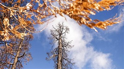 طقس أحد الشعانين خريفيّ... إليكم التفاصيل