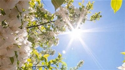  طقس ربيعيّ دافئ ومستقر... اليكم التفاصيل 