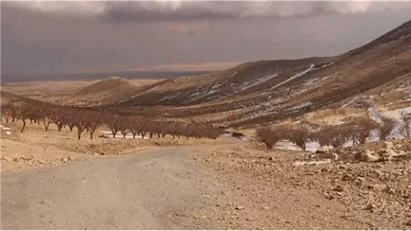 صيدا اون لاين