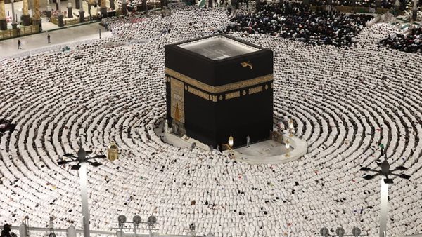 صيدا اون لاين