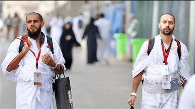 بالأرقام.. إليكم أعداد الحجاج لعام 2025