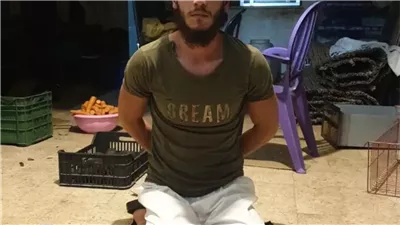 دخل خلسة الى لبنان... توقيف 