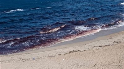 شاطئ طرابلس مهدّد: تلوّث وانهيار بيئي!