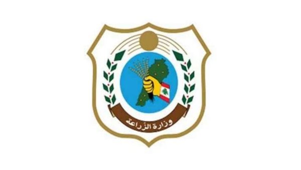 صيدا اون لاين