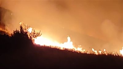 بعد حارة صيدا... النيران تلتهم جرود زحلة! 