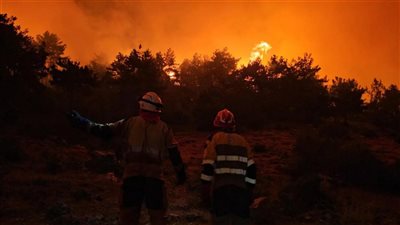 جرسُ إنذار... هل نخسرُ لُبنانَنا الأخضر؟