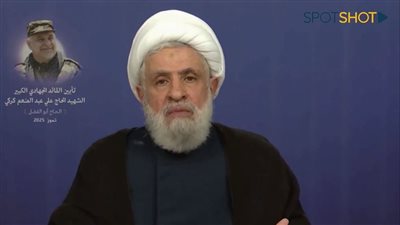 قاسم: حزب الله التزم وقف إطلاق النار... و3800 خرق من 