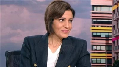 تمارا الزين: الجلسة التي سيعرض فيها الجيش خطته في 2 أيلول وبري سيحاول منع وصول لبنان إلى صدام