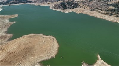 خبر غير سار عن 