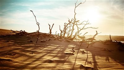 عام 2026 سيكون الأسوأ والأخطر.. لبنان أمام تحديات مُناخية وخبير يدق ناقوس الخطر