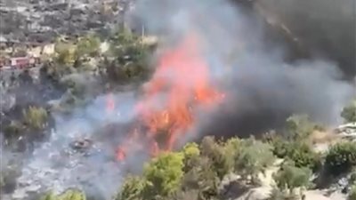 بالفيديو: النيران تلتهم مساحات حرجية في المنطقة الواقعة بين بلدتي زغدرايا وطنبوريت - قضاء صيدا