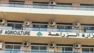 الزراعة.. ضبط عنب وليمون مهرب وهذا مصير المضبوطات