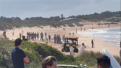 وفاة رجل بهجوم سمكة قرش قبالة شاطئ في سيدني