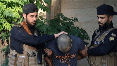 بالصور: خلية لـ