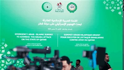 الجديد تحصل على 