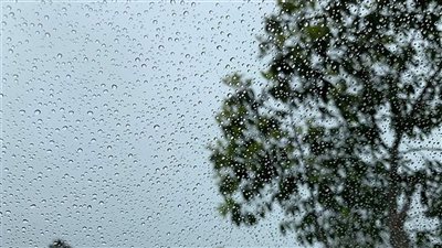 طقس متقلب بين الصحو واحتمال تساقط بعض الأمطار