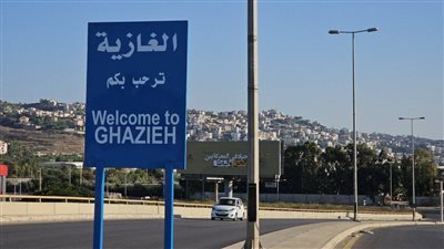 بتهمة تصرفات غير لائقة... بلدية الغازية توقف شاباً سورياً