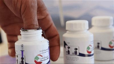 لا انتخابات بوجود السلاح؟