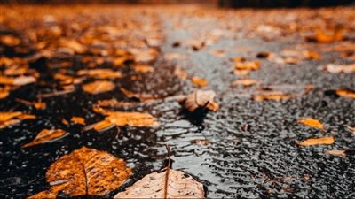 أمطار خفيفة ومتفرقة متوقعة… إليكم حالة الطقس في الأيام المقبلة