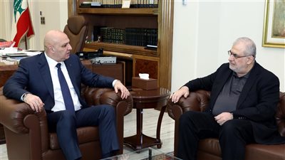 ماذا حصل في اللقاء بين عون ورعد؟