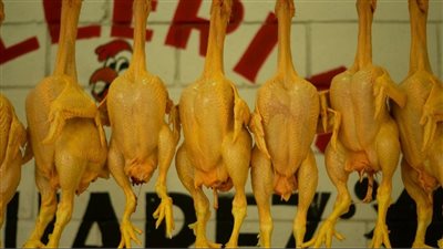 في منطقة لبنانية.. 