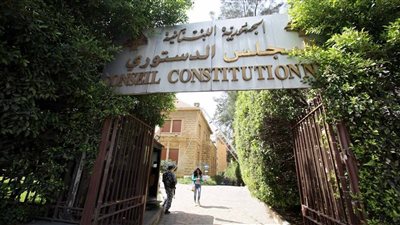 الدستوري يُبطل موادا في 