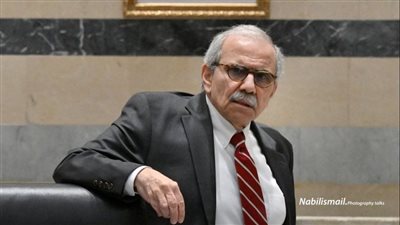 ردًا على غارات المصيلح... سلام يطلب من رجي التحرك دبلوماسيًا