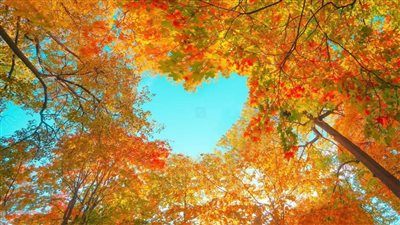 الحرارة فوق معدّلاتها.. اعتباراً من هذا التاريخ