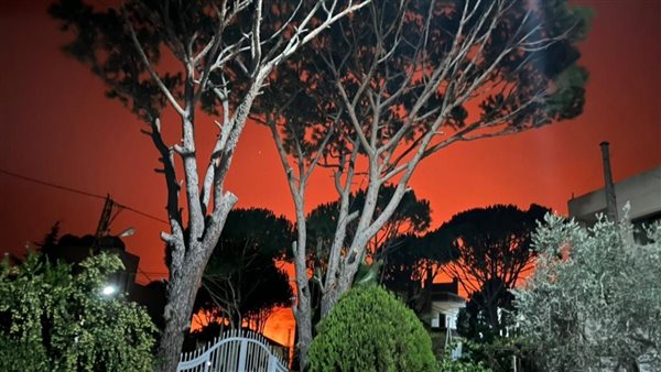 صيدا اون لاين