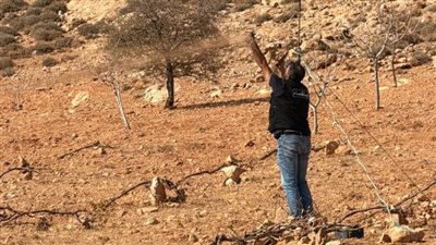 قوى الأمن: توقيف ثلاثة أشخاص يقومون بممارسة الصّيد ليلاً في قبّ الياس وضبط معدات وشباك صيد مخالِفة بالبقاع